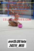 24211_M15-