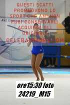 24219_M15-