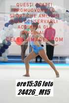 24426_M15-