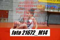 21672_M14-