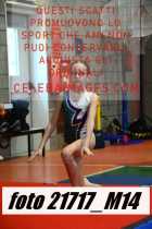 21717_M14-