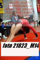 21823_M14-