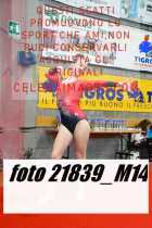 21839_M14-