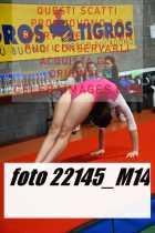 22145_M14-
