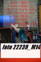22239_M14-