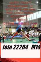 22264_M14-
