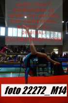 22272_M14-