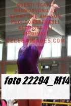 22294_M14-