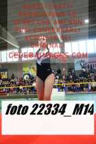 22334_M14-