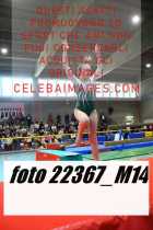 22367_M14-