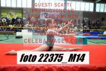 22375_M14-