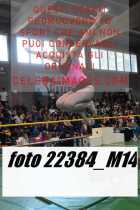 22384_M14-
