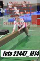 22447_M14-