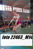 22463_M14-