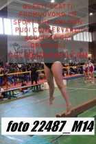 22487_M14-
