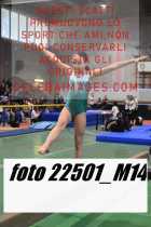 22501_M14-