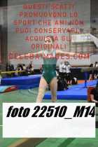 22510_M14-
