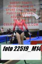 22519_M14-