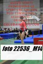 22536_M14-