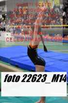 22623_M14-