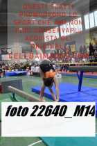 22640_M14-