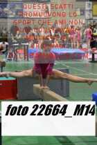 22664_M14-