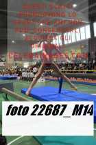 22687_M14-