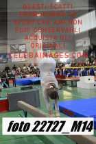 22727_M14-