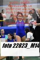 22823_M14-