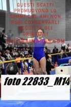 22833_M14-