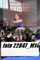 22847_M14-