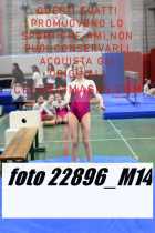 22896_M14-