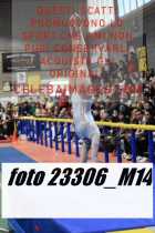23306_M14-