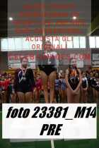 23381_M14-PRE