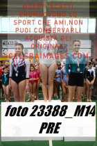 23388_M14-PRE