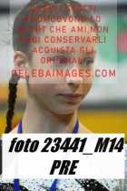 23441_M14-PRE