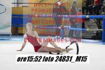 24831_M15-