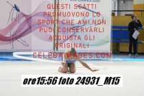 24931_M15-