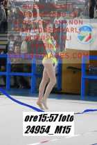24954_M15-