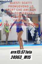 24963_M15-