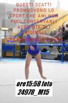 24978_M15-