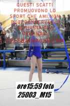 25003_M15-