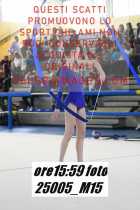 25005_M15-
