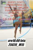 25026_M15-