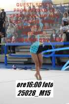 25028_M15-