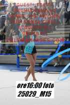 25029_M15-