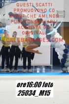 25034_M15-