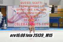 25139_M15-