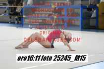 25245_M15-