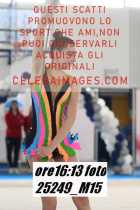 25249_M15-